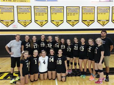 2014 a south girls volleyball
